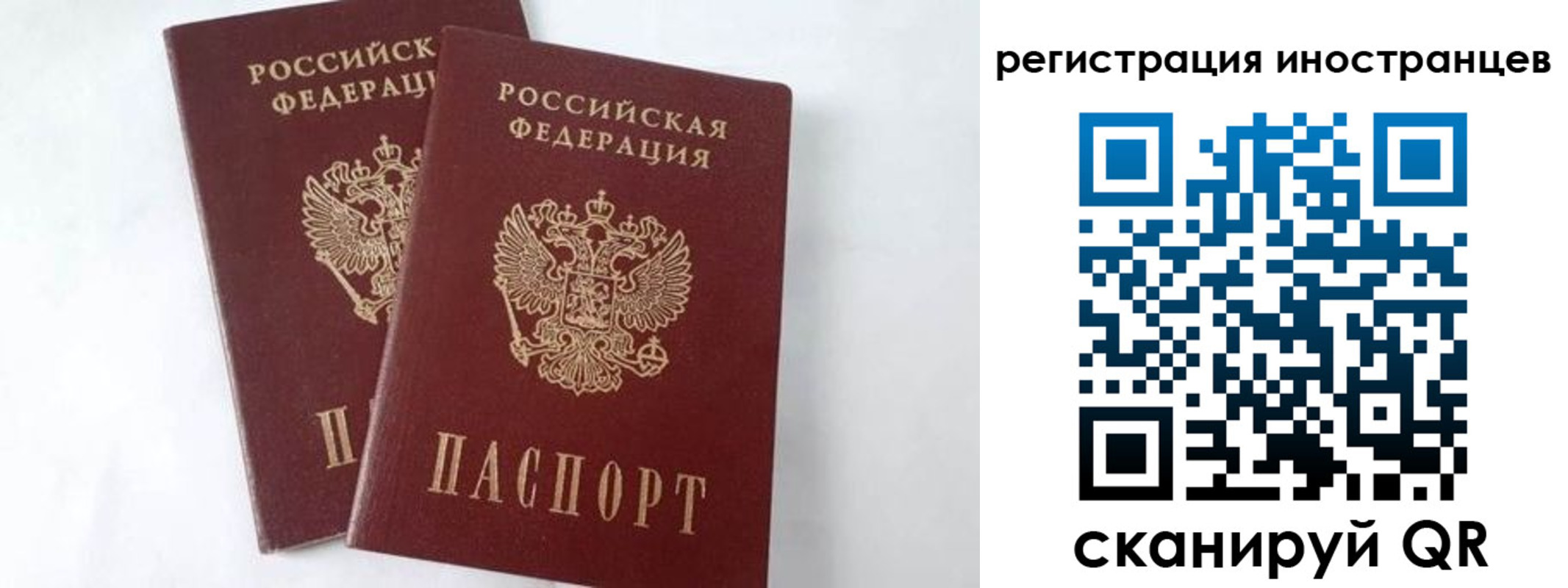 регистрация для школы в Московской области